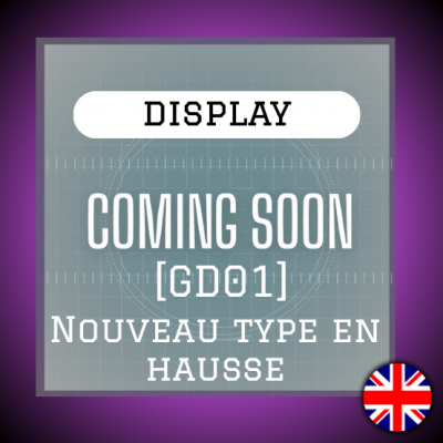 Boite de 24 Boosters - Newtype Rising - Gundam CG - GD01 - EN
